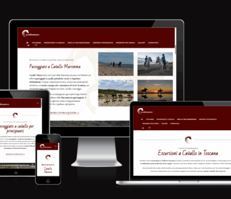 Consulenza SEO e Realizzazione sito web Grosseto. Preventivo immediato. Massima puntualità e trasparenza. Agenzia Web Vulcano Comunicazione